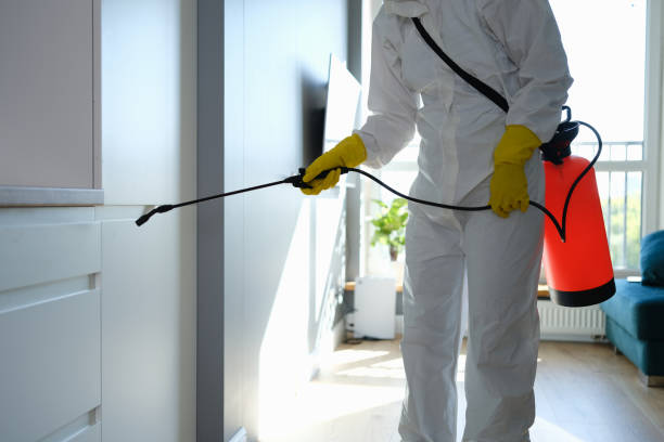 Best Residential Mold Removal  in Chackbay, LA