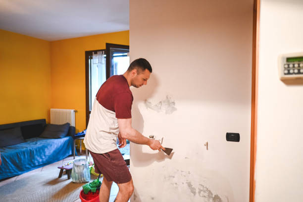 Best Local Mold Removal Service  in Chackbay, LA